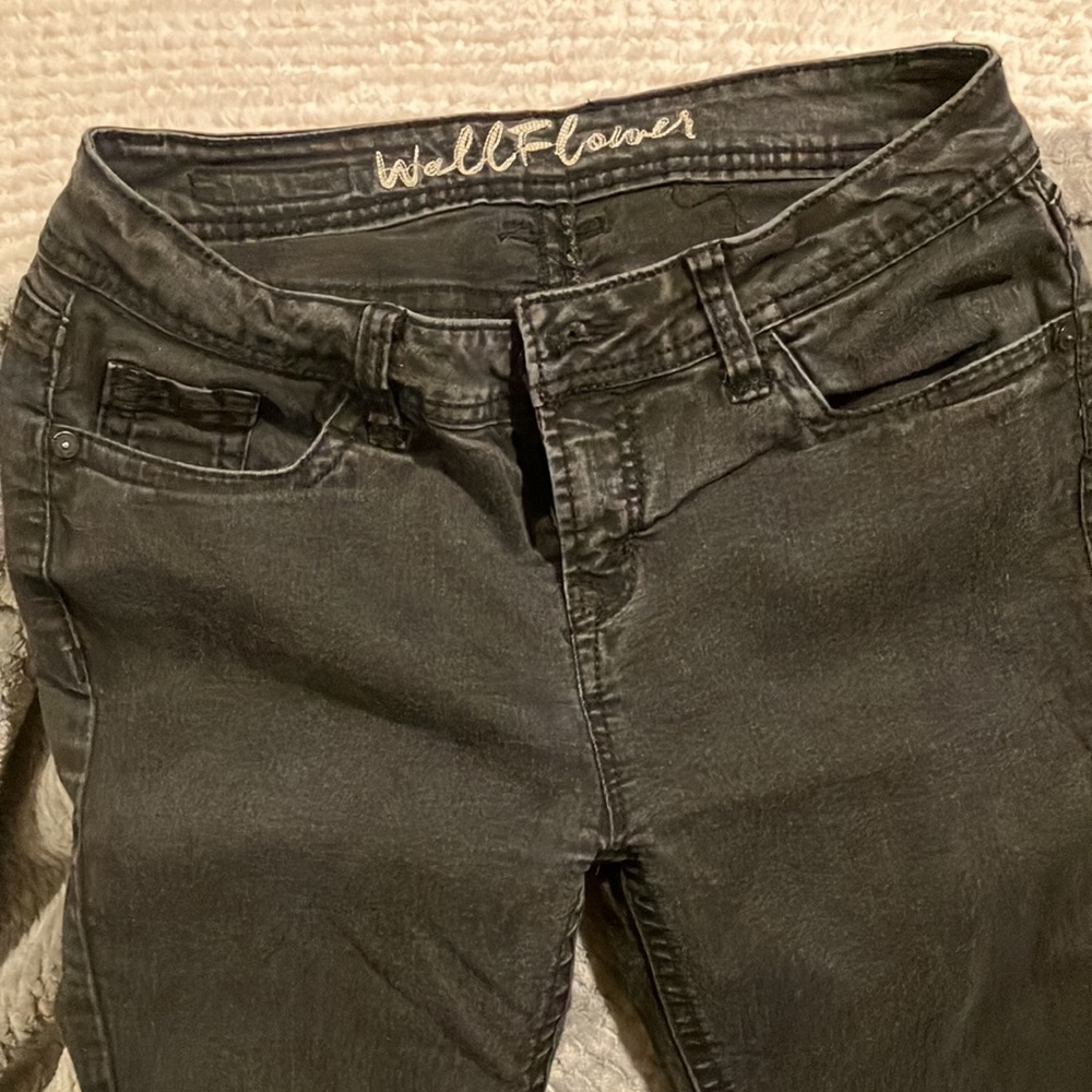 WALLFLOWER Jeans - Picture 5 of 6